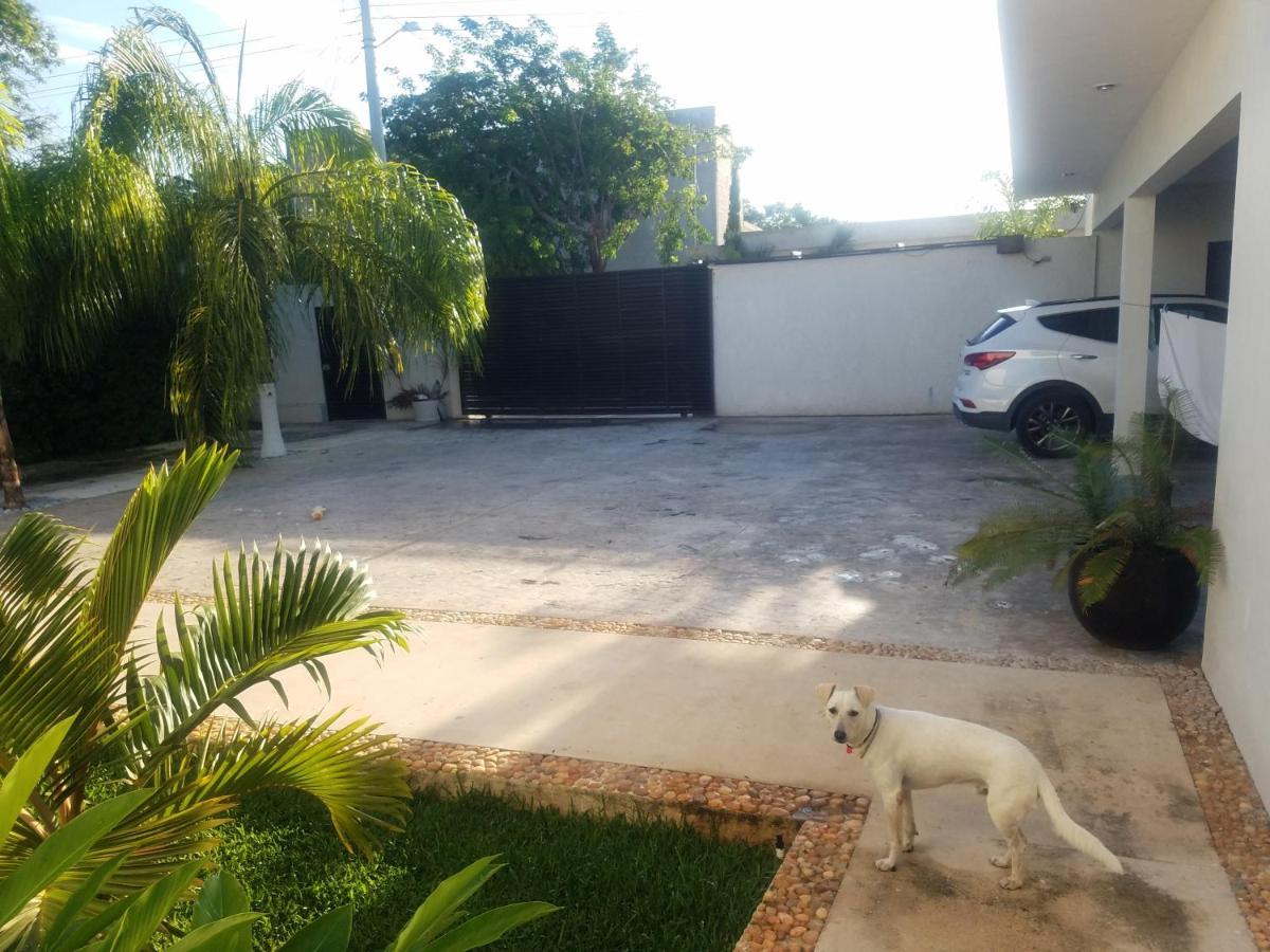 Casa Xcanatun Mérida Exteriör bild